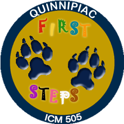 First Steps Badge